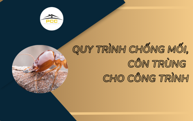 Quy Trình Chống Mối, Côn Trùng Khi Xây Dựng Công Trình